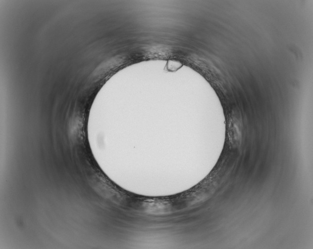 X0000111450714200908241206