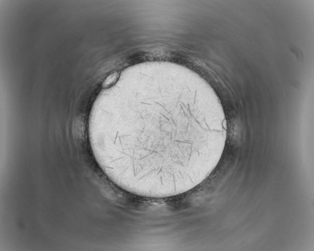 X0000111450715200908241205