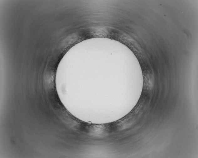 X0000111450717200908241205