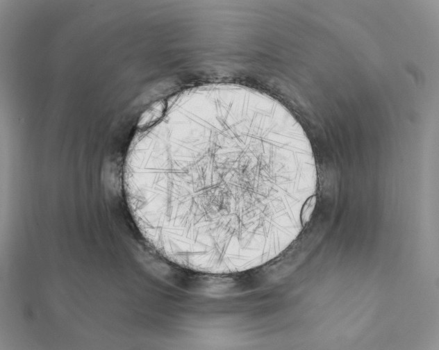 X0000111450719200908241205