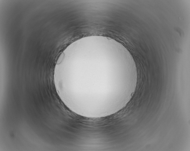X0000111450720200908241205