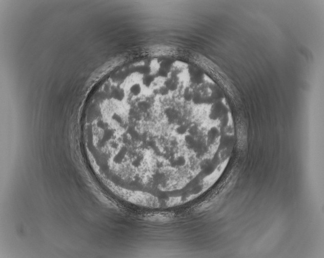 X0000111450721200908241205