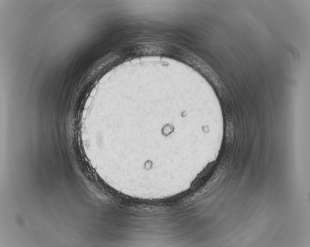 X0000111450722200908241205