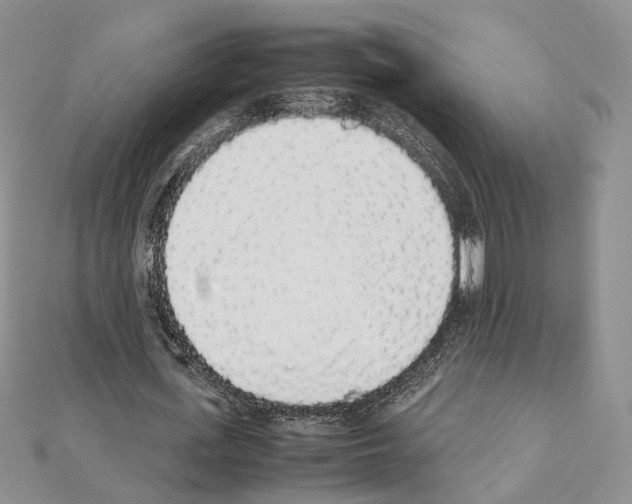 X0000111450723200908241205