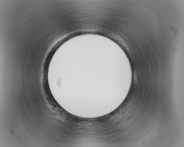 X0000111450724200908241205