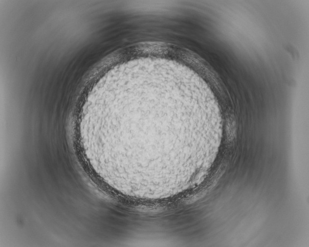 X0000111450725200908241205