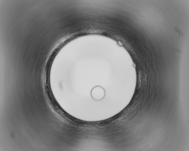 X0000111450726200908241205