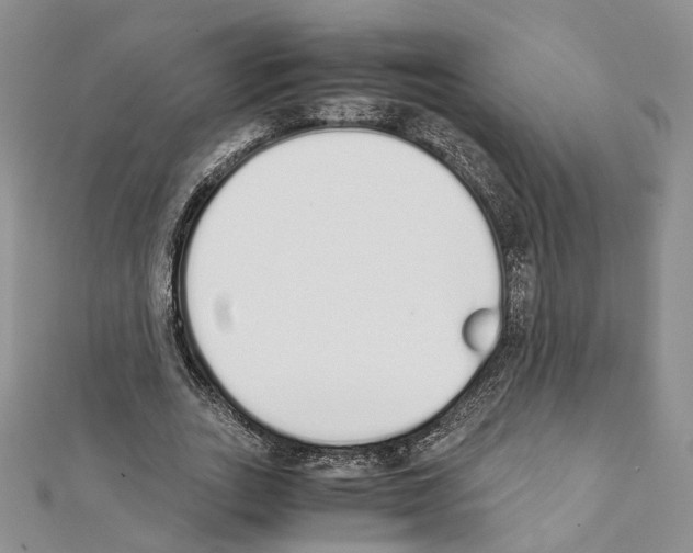 X0000111450727200908241205