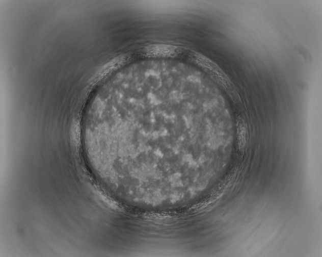 X0000111450729200908241205