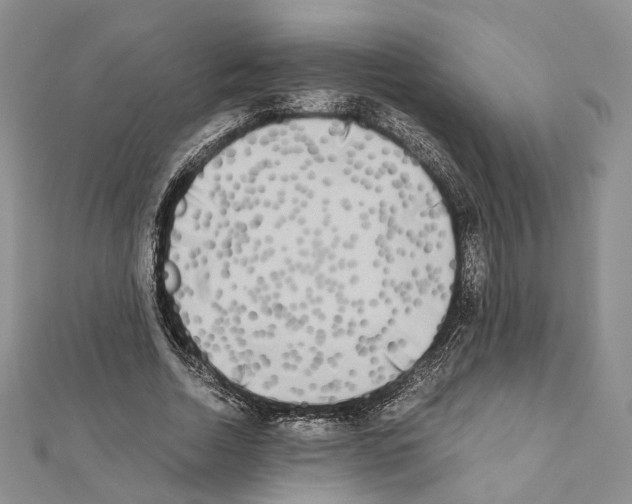 X0000111450730200908241205