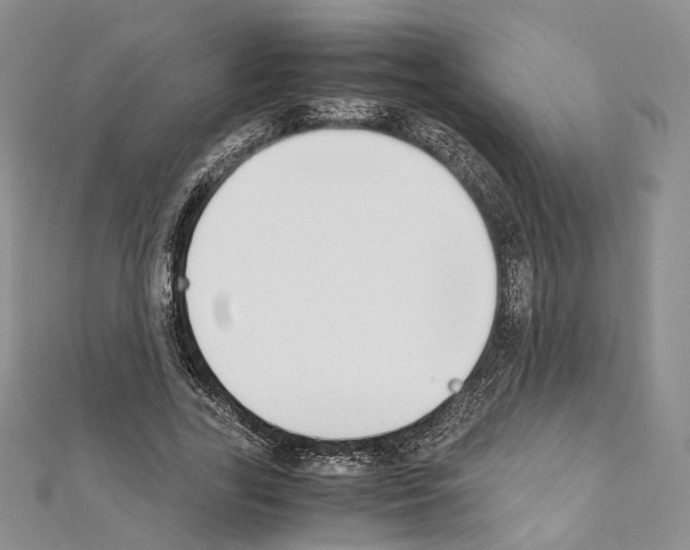 X0000111450731200908241205