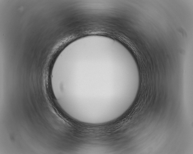X0000111450732200908241205