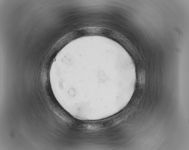 X0000111450733200908241205