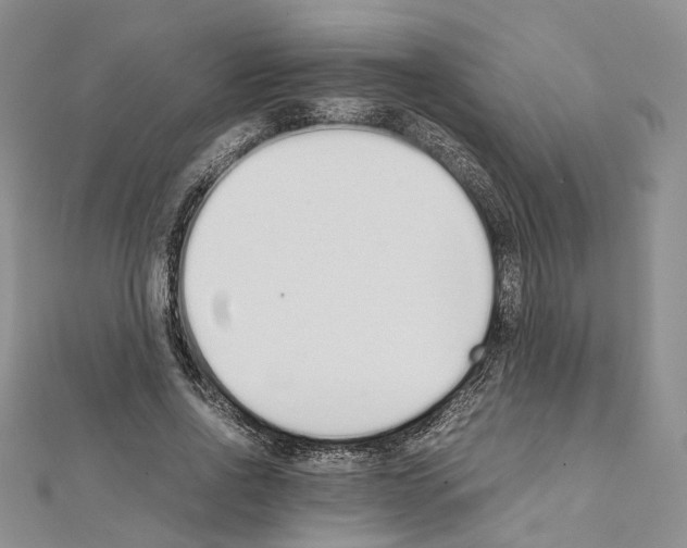 X0000111450734200908241205