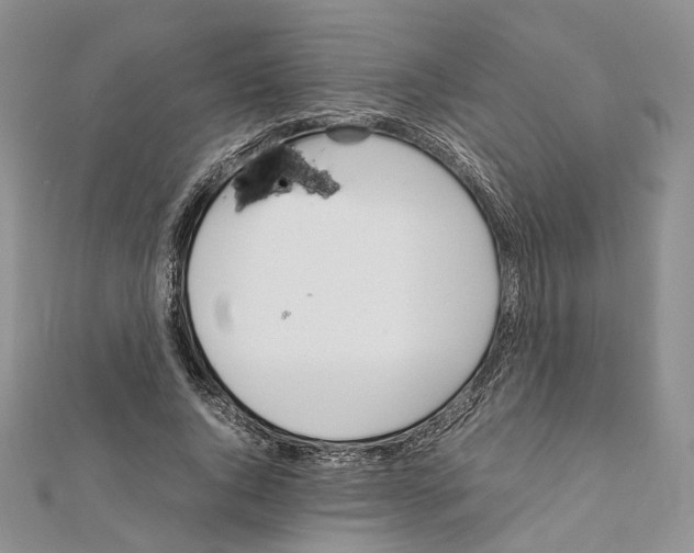 X0000111450736200908241205