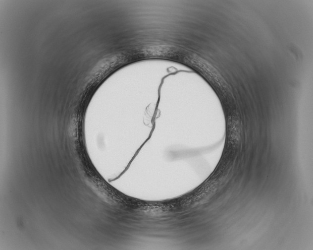 X0000111450738200908241205
