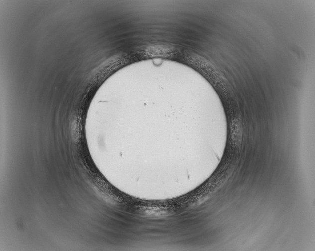X0000111450741200908241205