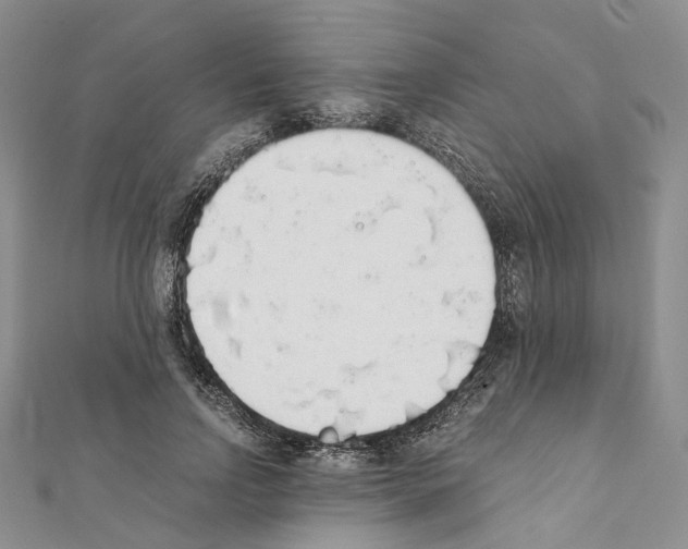 X0000111450742200908241205