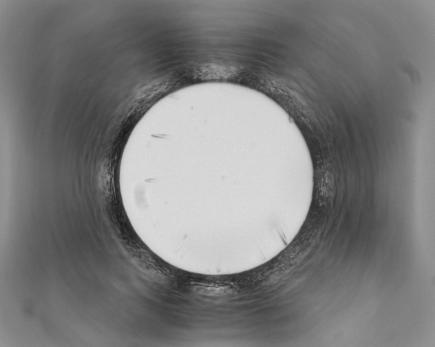 X0000111450743200908241205