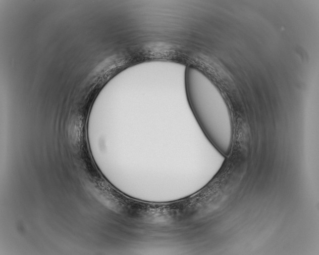 X0000111450744200908241205