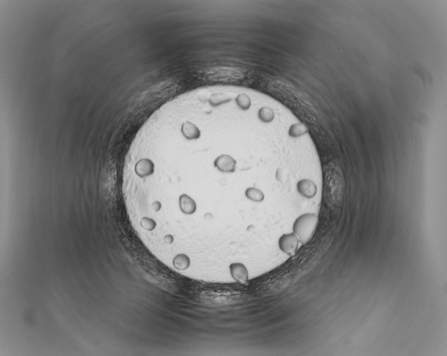 X0000111450745200908241205