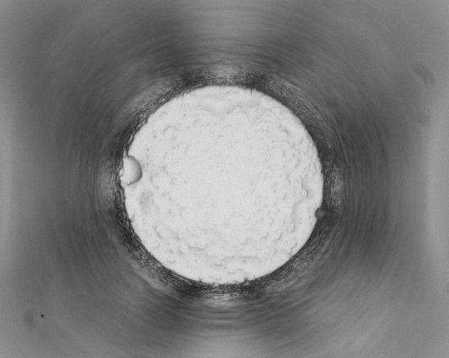 X0000111450746200908241205