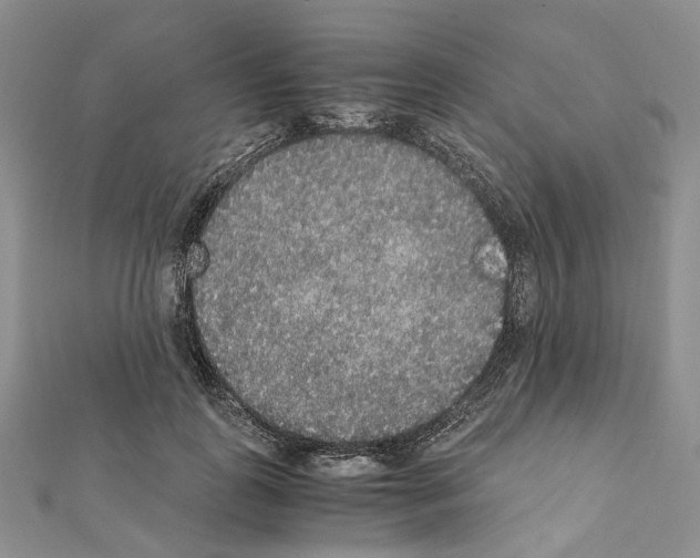 X0000111450747200908241205