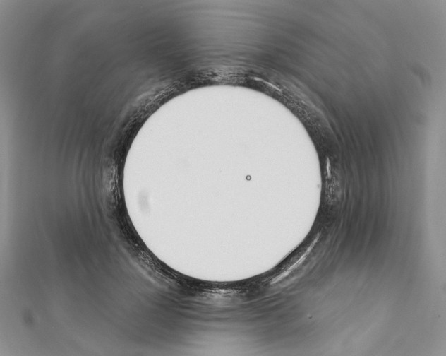 X0000111450748200908241205
