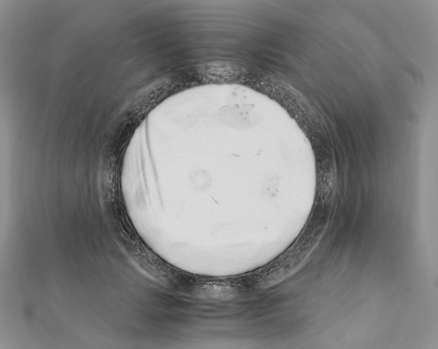 X0000111450749200908241205