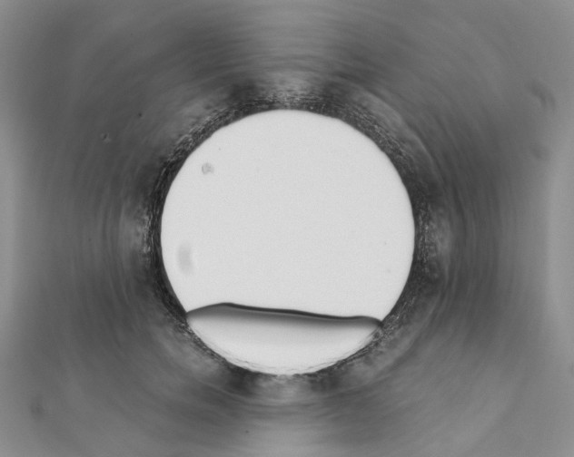 X0000111450750200908241205