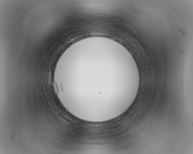 X0000111450752200908241205