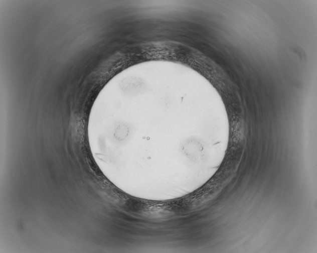 X0000111450753200908241205