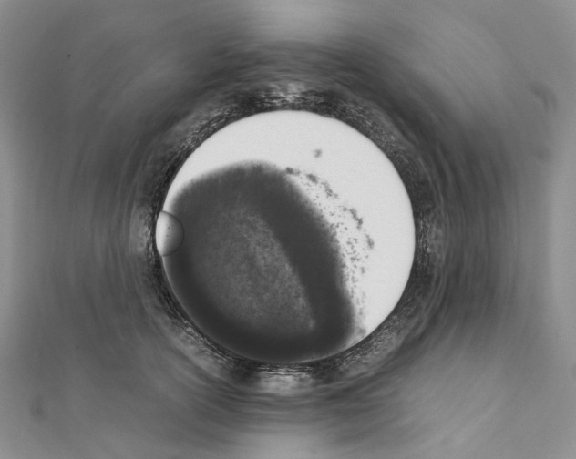 X0000111450754200908241205