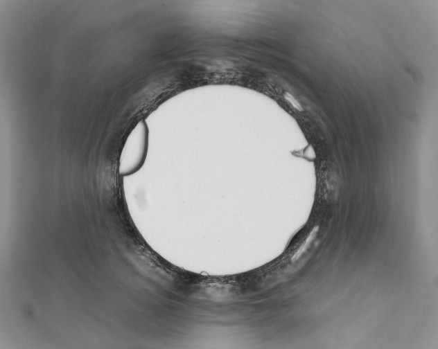 X0000111450756200908241205