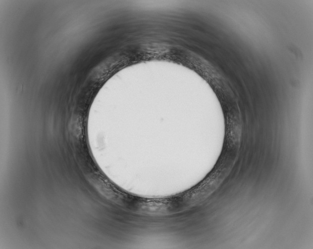 X0000111450758200908241205