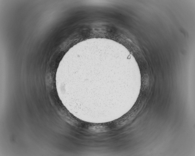 X0000111450759200908241205