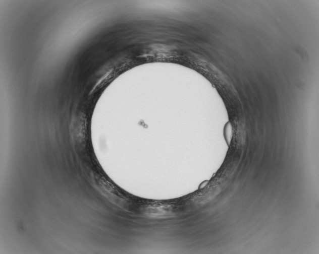 X0000111450760200908241205