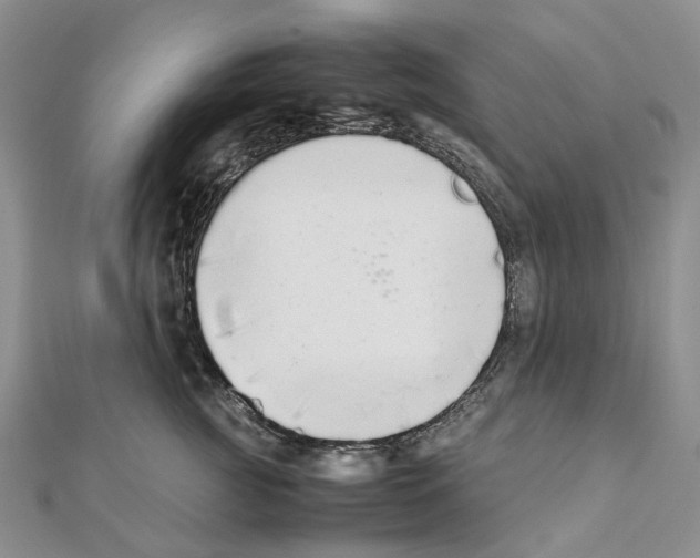 X0000111450761200908241205