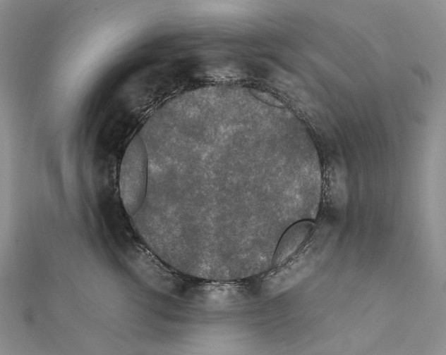 X0000111450762200908241205