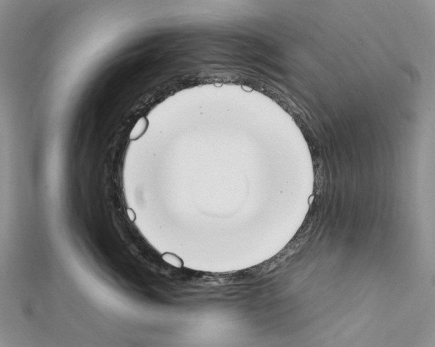 X0000111450764200908241205