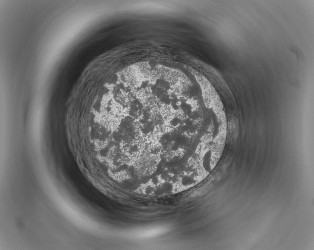 X0000111450765200908241205