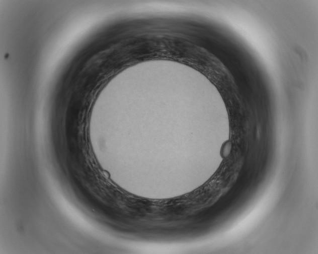 X0000111450766200908241205