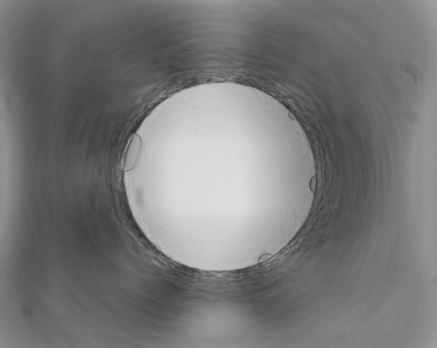 X0000111450768200908241205