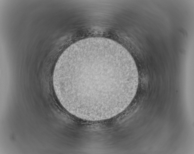 X0000111450769200908241205