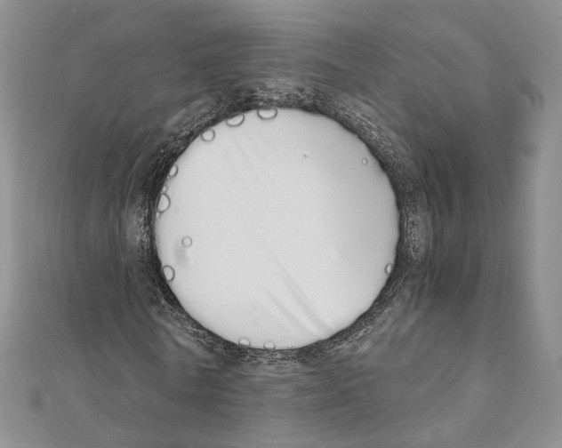 X0000111450770200908241205
