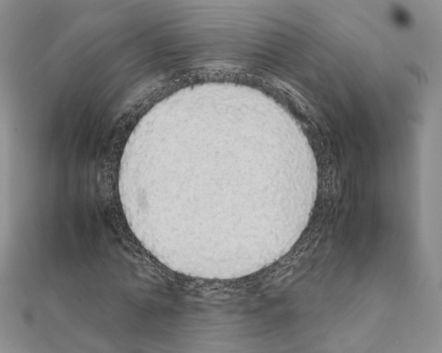 X0000111450774200908241205