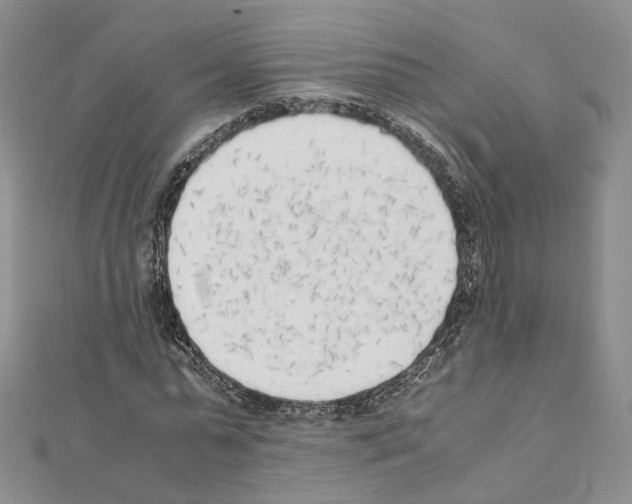 X0000111450775200908241205