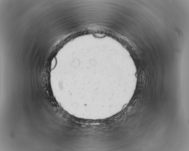 X0000111450776200908241205