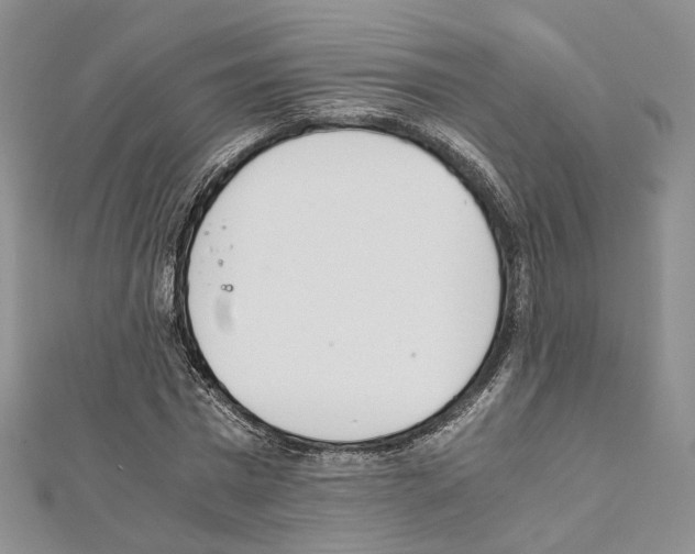 X0000111450777200908241204