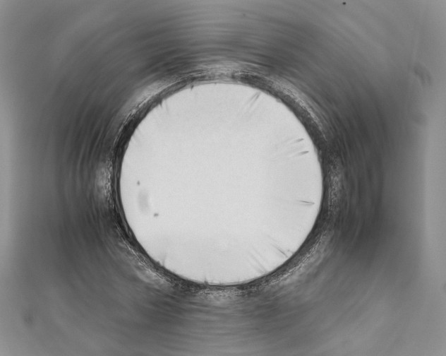 X0000111450778200908241204